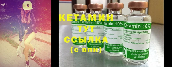шишки Абаза