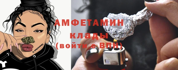 шишки Абаза