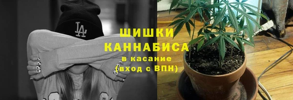 шишки Абаза