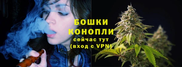 шишки Абаза