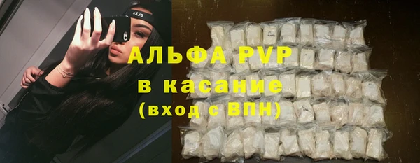 шишки Абаза