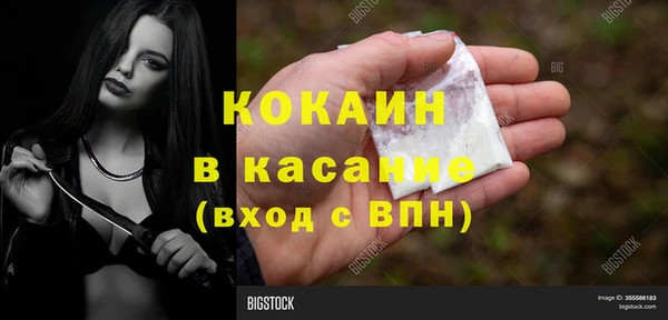 шишки Абаза