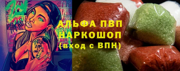 шишки Абаза