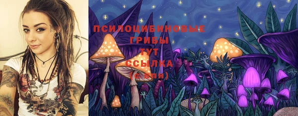 шишки Абаза