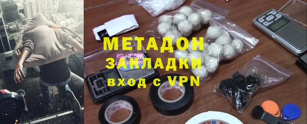 шишки Абаза
