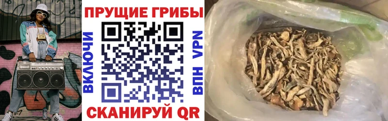 Псилоцибиновые грибы Cubensis  Смоленск 